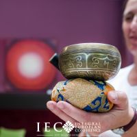 ICE-Regathering, Krainerhütte 2019